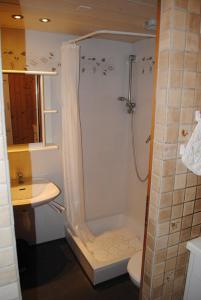 ヴィルダースヴィルにあるStudio Glausのバスルーム(シャワー、トイレ、洗面台付)