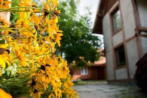 a bunch of yellow flowers in front of a building at ekoLOKUM in Ostróda