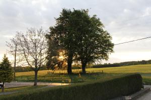 Giardino di B&B Sol Magnus