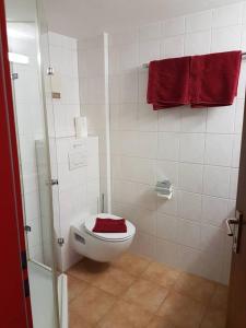 a bathroom with a toilet with a red towel at Hotel Traube in Sigmaringen