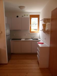Kuchyň nebo kuchyňský kout v ubytování Residence Margerithenweg - Kärnten Card Sommer 2025 inklusive