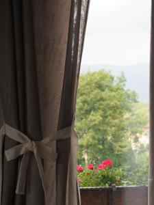Nespecifikovaný výhled na hory nebo výhled na hory při pohledu z bed and breakfast