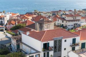 an aerial view of a city with houses and the ocean at Apt. Downtown 2 in Funchal