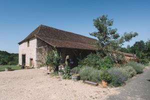 Sainte-Sabine的住宿－翠格納柯農舍，一座古老的石头建筑,前面有植物