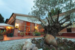 a house with a tree in front of it at Hotel Giuly in Torre del Lago Puccini