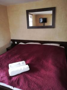 1 dormitorio con 1 cama roja y 2 toallas en "Zacisze" en Zgierz