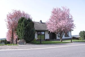 Edificio in cui si trova il bed & breakfast