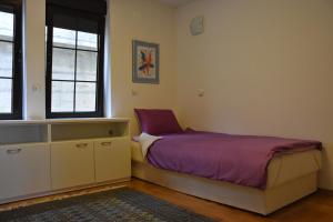 Un pat sau paturi într-o cameră la Bache Apartments