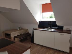 a small kitchen with a sink and a window at Ferienwohnung Braun in Echlishausen +8 photos