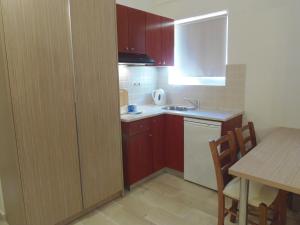 A kitchen or kitchenette at Angelica Studios and Apartments