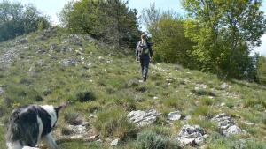Thalassa Locanda B&B e appartamento kisállat-vendégei