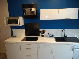 a kitchen with a sink and a microwave at La Maison Saint-Pry in Béthune