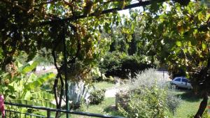 A garden outside Come a casa