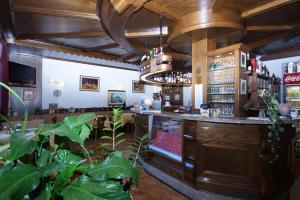 Lounge atau bar di Hotel Alpi