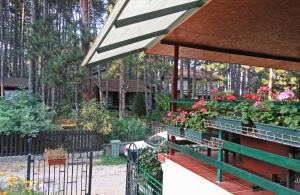 Zahrada ubytování Guest House Keserovic