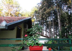 Giardino di Guest House Keserovic