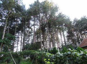 Giardino di Guest House Keserovic