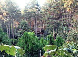 Giardino di Guest House Keserovic