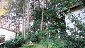 Giardino di Guest House Keserovic