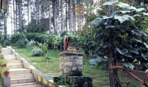 Giardino di Guest House Keserovic