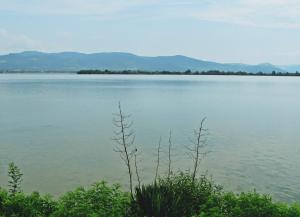 Paesaggio naturale nelle vicinanze dell'affittacamere