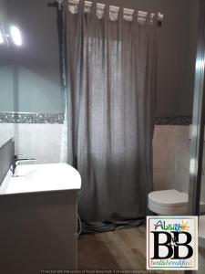 y baño con ducha, lavabo y aseo. en B&B Arcobaleno, en Penna SantʼAndrea