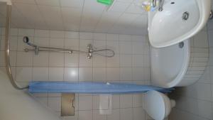 a shower in a bathroom with a blue floor at MB Hotel Weißer Hirsch in Hohnstein