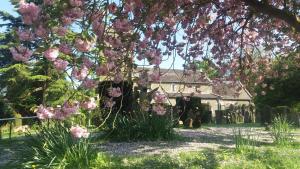 un árbol con flores rosas delante de una casa en Grooms Cottage, en Horncastle