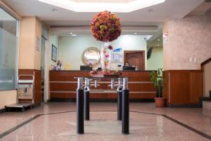 Vstupní hala nebo recepce v ubytování Hotel Novalux