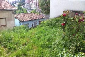 vistas a un patio con flores y a un edificio en La Casa de Antón, en Tineo