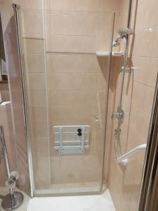a shower with a glass door in a bathroom at Hotel Daisy in San Giovanni Lupatoto