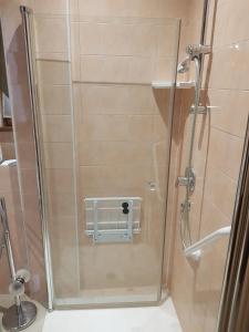 a shower with a glass door in a bathroom at Hotel Daisy in San Giovanni Lupatoto +14 photos