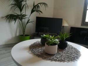 Appartement "Le Passage" 50 passage de l'Ancien Courrierにあるテレビまたはエンターテインメントセンター