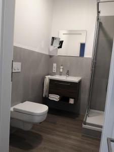 ein Badezimmer mit einem WC, einem Waschbecken und einem Spiegel in der Unterkunft Trip Inn PostApart Aschaffenburg in Aschaffenburg