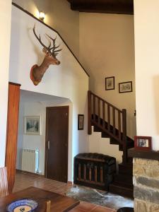 a living room with a deer head on the wall at Dúplex en Badaguás, Jaca in Badaguás