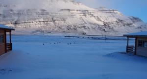 Náttúran í nágrenni íbúðarinnar
