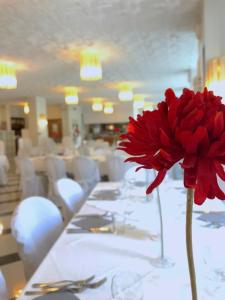Restoran atau tempat lain untuk makan di Hotel La Perla +85 gambar