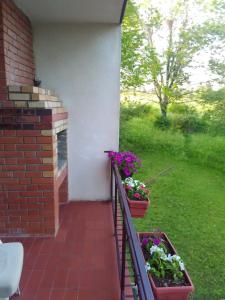 Zahrada ubytování Vila Trtović