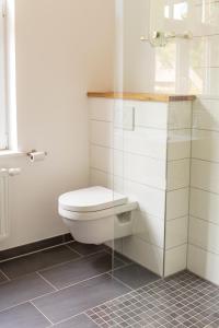 a bathroom with a toilet and a glass shower at Gästezimmer St. Dionys in Sankt Dionys