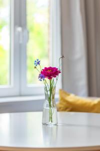 a glass vase with flowers in it on a table at Gästezimmer St. Dionys in Sankt Dionys