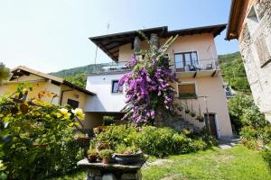 Vonkajšia záhrada v ubytovaní Casa Bougainville