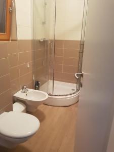La salle de bains est pourvue d'une douche, de toilettes et d'un lavabo. dans l'établissement Apartman Di, à Mali Lošinj