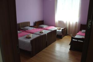 two beds in a room with two cats sleeping on them at Mariana's Guest House in Mestia