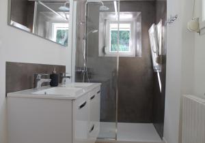 a bathroom with a shower and a sink and a mirror at maison Vendeuvre sur barse in Vendeuvre-sur-Barse +5 photos