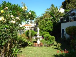 フンシャルにあるApartamentos Jardimの庭中の噴水付庭園