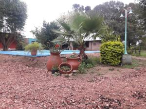 Un jardín fuera de Hotel de Campo El Rebenque
