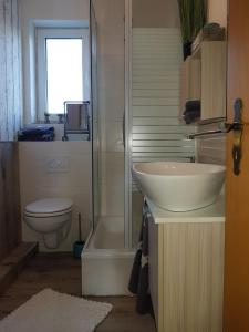 een badkamer met een wastafel, een toilet en een douche bij Heimathafen in Neufolstenhausen