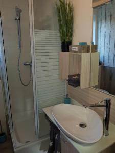 een badkamer met een wastafel en een douche bij Heimathafen in Neufolstenhausen