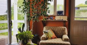 sala de estar con silla y planta en Gîte Aux Jardins De L'Anse, en Percé