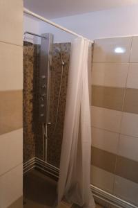 a shower with a shower curtain in a bathroom at Canadian House in Sărata-Monteoru